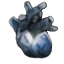 之心